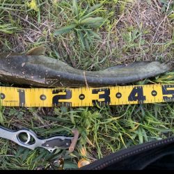 流れ込みは重要