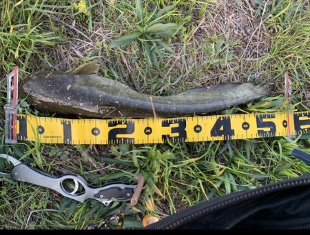 流れ込みは重要