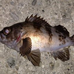 強風で厳しかったけど～