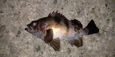 強風で厳しかったけど～