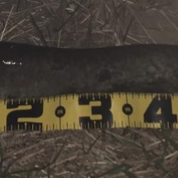 ヨレを見つけろ！