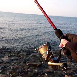 フロートアジング