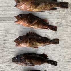 穴釣りで爆釣!!