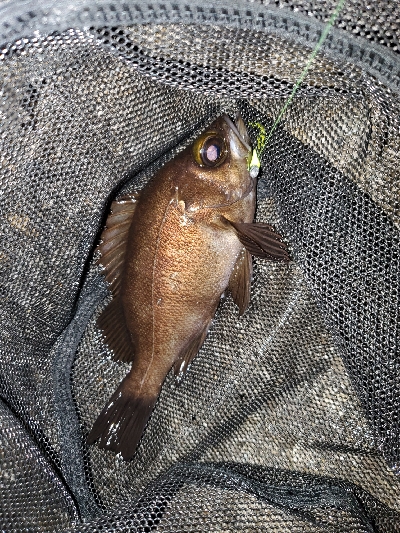 コロナに負けるな！