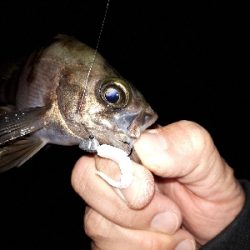 今回もいつもの神戸港