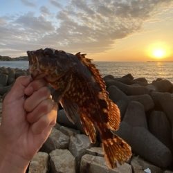 再び穴釣りで爆釣！！