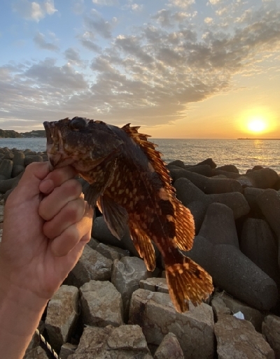 再び穴釣りで爆釣！！