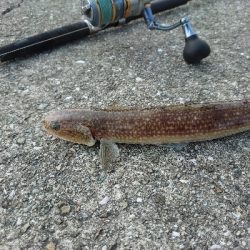 ショアジギング