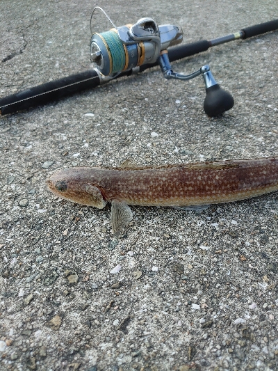 ショアジギング