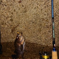 時合い短し‼️