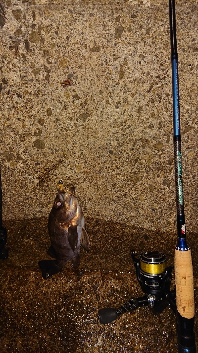 時合い短し‼️