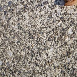 久しぶりのコウちゃん