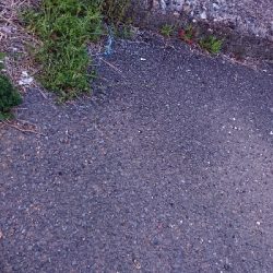 またまたヒラメきました！