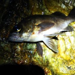 寒くなってきたよ