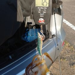 出張で出勤前にエキング