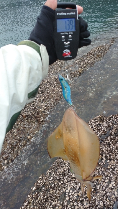 対馬ですから！