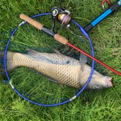 用水路のカープフィッシング