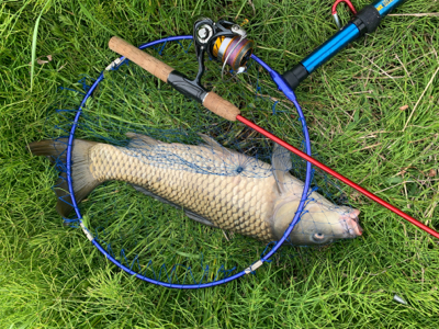 用水路のカープフィッシング