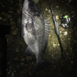 爆風メバリング