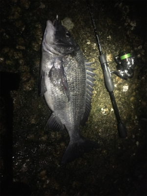 爆風メバリング