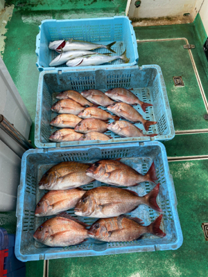 明石　　鯛サビキ