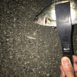 なんとか１キャッチ