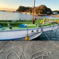 乗っ込みマダイ‼️