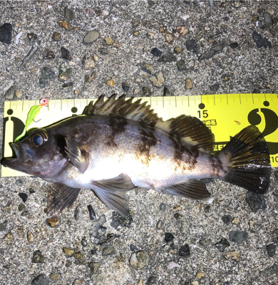 フロートVSプラグ☆GUNNING-STY…