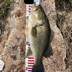 今年初の•••