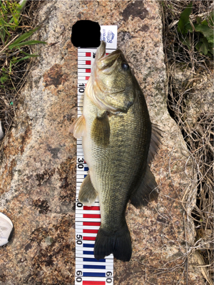 今年初の•••