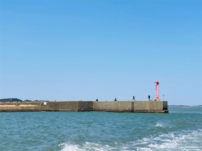 大原沖、マハタ