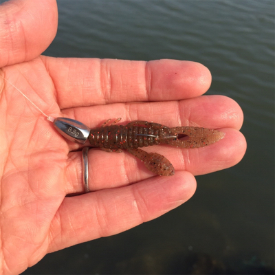 淀川ブリームゲーム