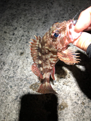 とある波止場のライトゲーム