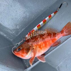 丹後沖ジギング