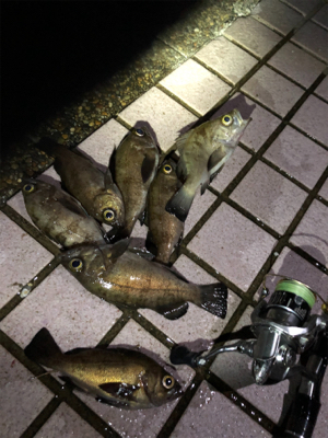 携帯水没後の徹メバリング