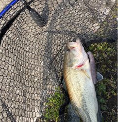 兵庫で初バス☆GUNNING-STYLE