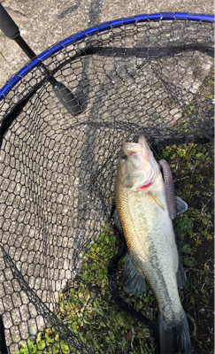 兵庫で初バス☆GUNNING-STYLE