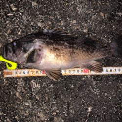 久々お尺さま！