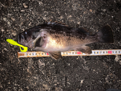 久々お尺さま！