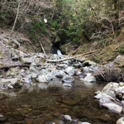 今回もボチボチ