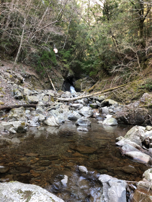 今回もボチボチ