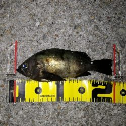 スーパームーン