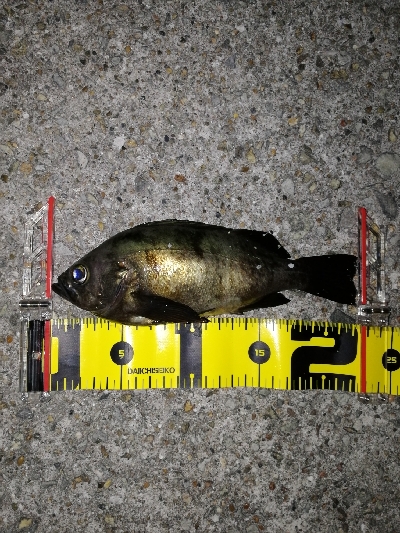 スーパームーン