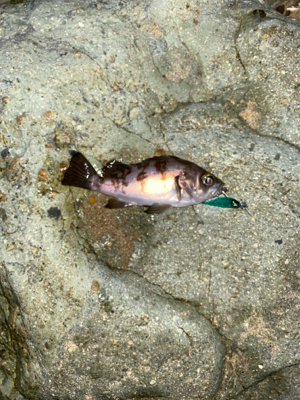 スーパームーン