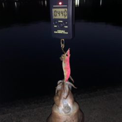 スーパームーンに期待して