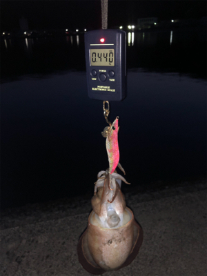 スーパームーンに期待して