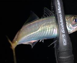 スーパームーン