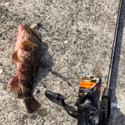 とある港のガッシー