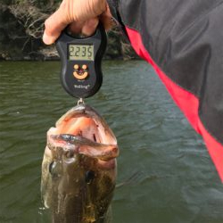 1日ボート釣行！