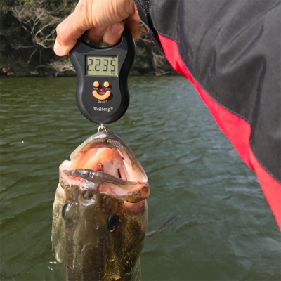 1日ボート釣行！